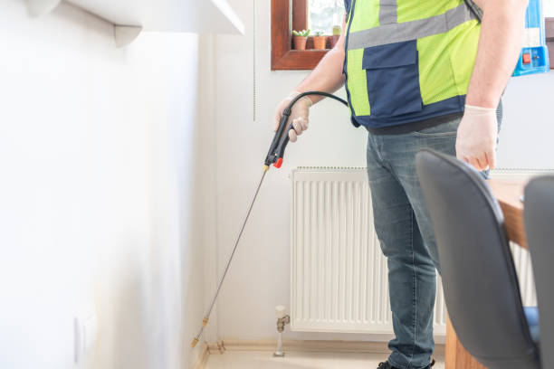 Best Pest Inspection Near Me  in Bolivar, OH