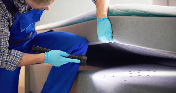 Flea Control Services in Bolivar, OH