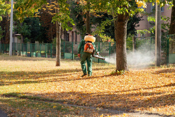Best Mosquito Control Services  in Bolivar, OH