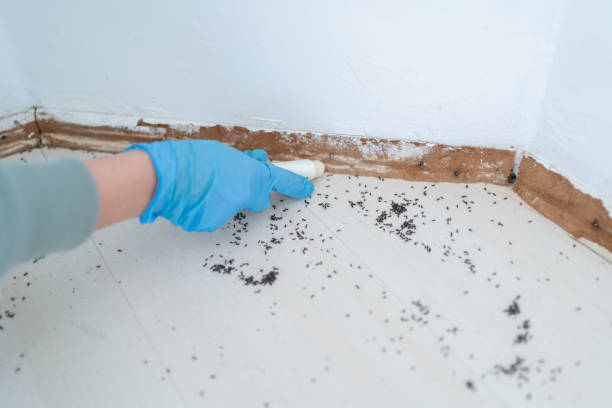 Best Best Pest Control Companies  in Bolivar, OH